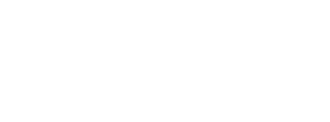 Nomad Aviation logo with nomad aviation words and a graphical compass element all in white. For use on dark backgrounds.